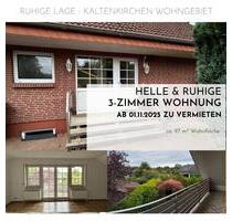 Helle und ruhige 3-Zimmer Dachgeschosswohnung mit Loggia, Garten - Kaltenkirchen
