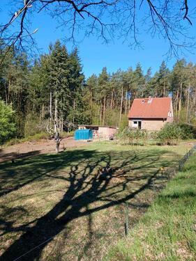 Foto - 4 Zimmer Einfamilienhaus in Büchen