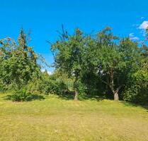 Großer Garten in ‼️23936 Grevesmühlen‼️ - Tarp