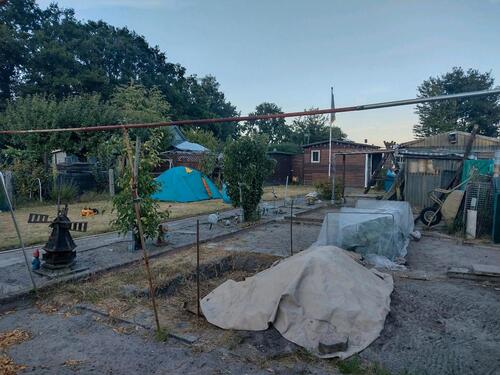 Foto - Grundstück zur Miete in Calberlah
