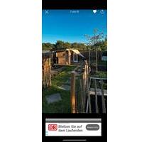 Süsser Schrebergarten am Wasserturm- mit Hütte abzugeben - Flensburg Altstadt
