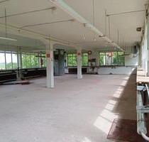Lager, Atelier zu vermieten in Pirmasens-Gersbach