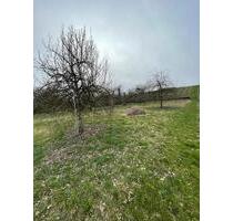 Streuobstwiese in Kirchheim am Neckar zu verpachten - Bietigheim-Bissingen