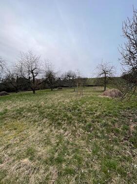 Foto - Grundstück zur Miete in Bietigheim-Bissingen