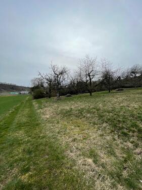 Foto - Grundstück in Bietigheim-Bissingen