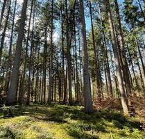 Waldgrundstück - 5,00&nbsp;EUR Kaltmiete, ca.&nbsp; 0,00&nbsp;m&sup2; in Peißenberg (PLZ: 82380)