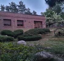 Einfamiliehaus mit 3000 m² Grundstück - kernsaniert - Wildeshausen