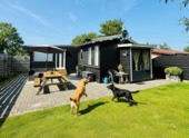 Foto - Ferienhaus Wad Leuk – Ruhe, Natur & Platz für Hund(e)