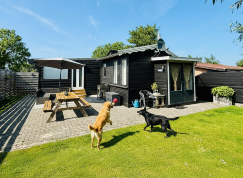 Foto - Ferienhaus Wad Leuk – Ruhe, Natur & Platz für Hund(e)