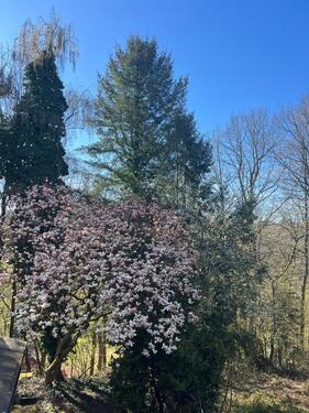 Foto - 4 Zimmer Etagenwohnung zur Miete in Pirmasens