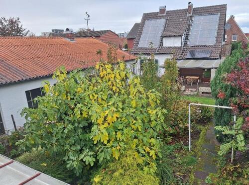 Foto - Einfamilienhaus in Rheine zum Kaufen