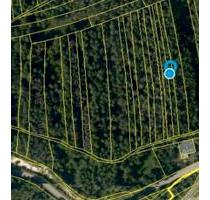 Waldstück Drosendorf 1.260m² auf der Langen Meile - Eggolsheim