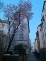 Foto - 3 Zimmerwohnung in Frankfurt Nordend provisionsfrei zu verkaufen