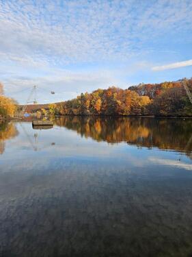 Foto - Ferienhaus am Campingplatz Seepark