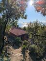 Foto - Ferienhaus La Palma Kanaren , Las tricias