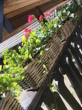 Foto - andere in Düren