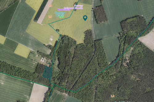 Foto - Grundst&uuml;ck in Potsdam zum Kaufen