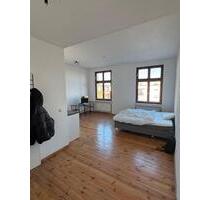 Möblierte 1-Zimmer-Wohnung ab 01.06 zu vermieten - Greifswald Groß Schönwalde