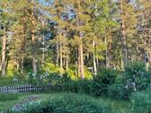 Foto - andere in Blankenburg (Harz) zur Miete