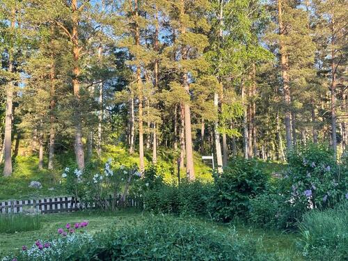 Foto - andere in Blankenburg (Harz) zur Miete