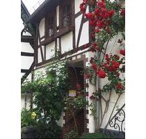 Ferienwohnung am Schloss - 880,00 EUR Kaltmiete, in Montabaur (PLZ: 56410)