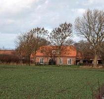 Gemütliches Häuschen in der Natur - Großenbrode