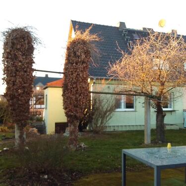 Foto - 5 Zimmer Doppelhaushälfte zum Kaufen in Langenwetzendorf