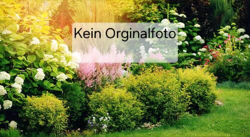 Foto - Kleingarten - 950,00&nbsp;EUR Kaltmiete, ca.&nbsp; 0,00&nbsp;m&sup2;