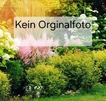 Kleingarten - 950,00&nbsp;EUR Kaltmiete, ca.&nbsp; 0,00&nbsp;m&sup2; in Anklam (PLZ: 17389)