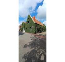 Schöne 2-Zimmerwohnung in Leeraner Altstadt - Nachmieter-in. - Leer (Ostfriesland)