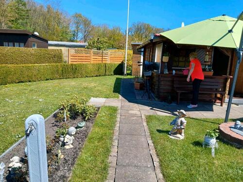 Foto - Garten in top gepflegten Zustand