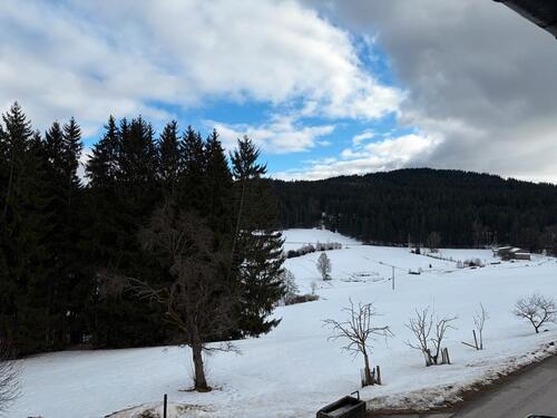 Foto - 2-Zimmer Wohnung - ruhige Lage - neu renoviert