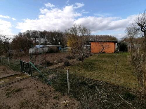 Foto - 