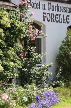 Foto - Mehrfamilienhaus, Wohnhaus in Eibenstock zum Kaufen