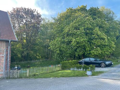Foto - 5 Zimmer Einfamilienhaus in Nordkirchen
