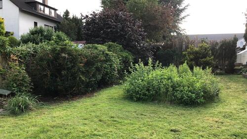 Foto - Etagenwohnung zur Miete in Herford