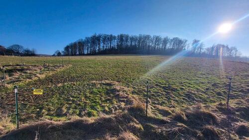 Foto - Grünland Wiese zu verpachten - 150,00&nbsp;EUR Kaltmiete, ca.&nbsp; 0,00&nbsp;m&sup2;