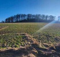 Grünland Wiese zu verpachten - 150,00&nbsp;EUR Kaltmiete, ca.&nbsp; 0,00&nbsp;m&sup2; in Ötzingen (PLZ: 56244)