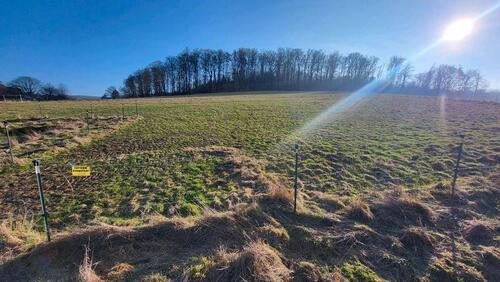 Foto - Grundst&uuml;ck zur Miete in Ötzingen