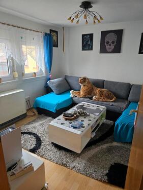 Foto - Zimmer in Wohngemeinschaft Mudau