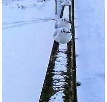 Erholsame Wintertage an der Ostsee - Boltenhagen