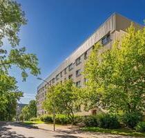 FamilienWohnen in der Oststadt - 385,00 EUR Kaltmiete, in Neubrandenburg (PLZ: 17036) Carlshöhe