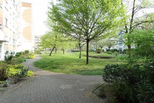 Foto - 1 Zimmer Erdgeschoßwohnung in Dessau-Roßlau