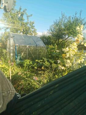 Foto - Grundst&uuml;ck in Greifswald