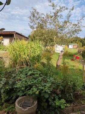 Foto - Grundst&uuml;ck zur Miete in Apolda