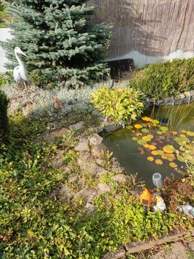 Foto - Grundst&uuml;ck in Apolda zur Miete