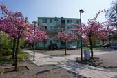 Foto - Etagenwohnung in Staßfurt