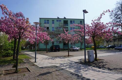 Foto - Etagenwohnung in Staßfurt