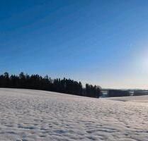 Wohnung Mietwohnung - 1.150,00&nbsp;EUR Kaltmiete, ca.&nbsp; 150,00&nbsp;m&sup2; in Thyrnau (PLZ: 94136)