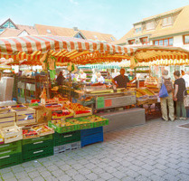Ein Zimmer in einer Zweizimmerwohnung für eine Frau zu vermieten - Stuttgart Stuttgart-West